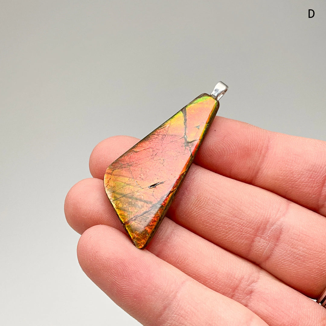 Alberta Ammolite Pendant - Rocks and Gems Canada