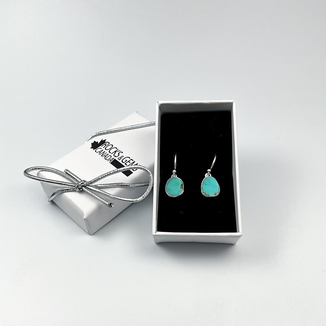 Turquoise Dangle Earrings
