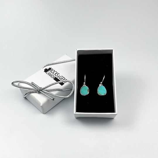 Turquoise Dangle Earrings