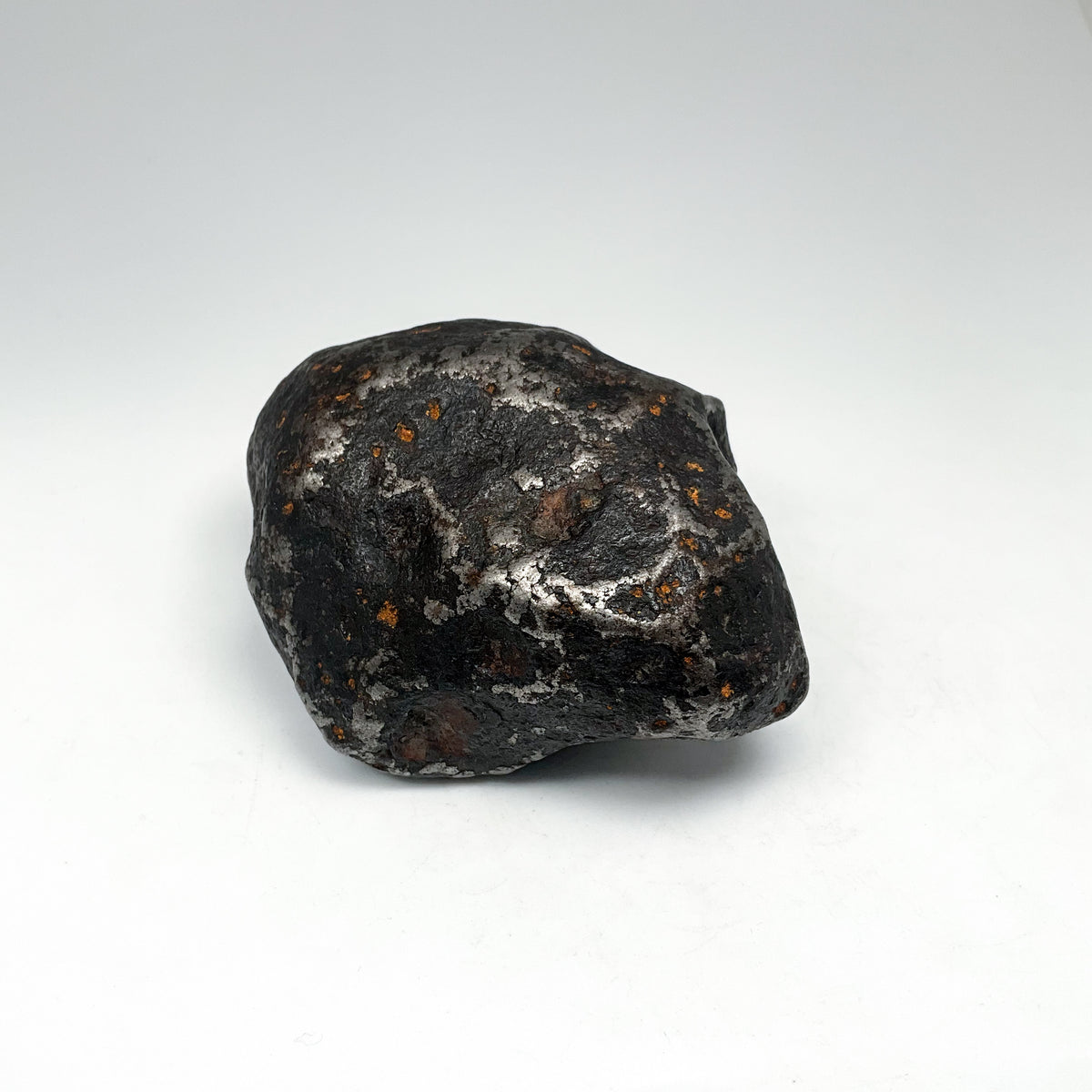 Campo Del Cielo Meteorite Large Specimen-Rocks and Gems Canada