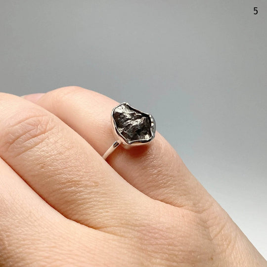 Campo Del Cielo Meteorite Ring-Rocks and Gems Canada
