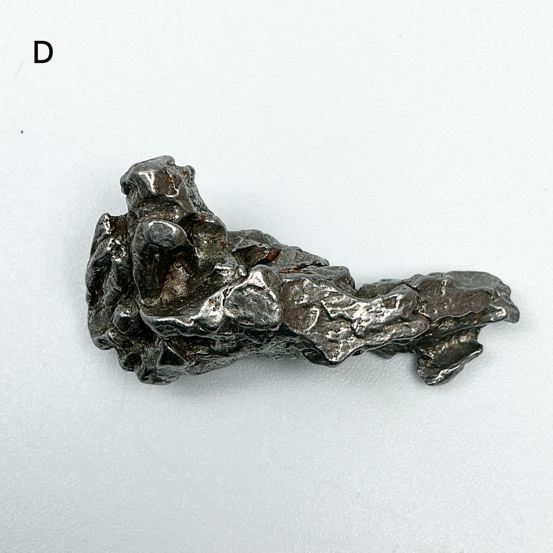 Campo Del Cielo Meteorite-Rocks and Gems Canada