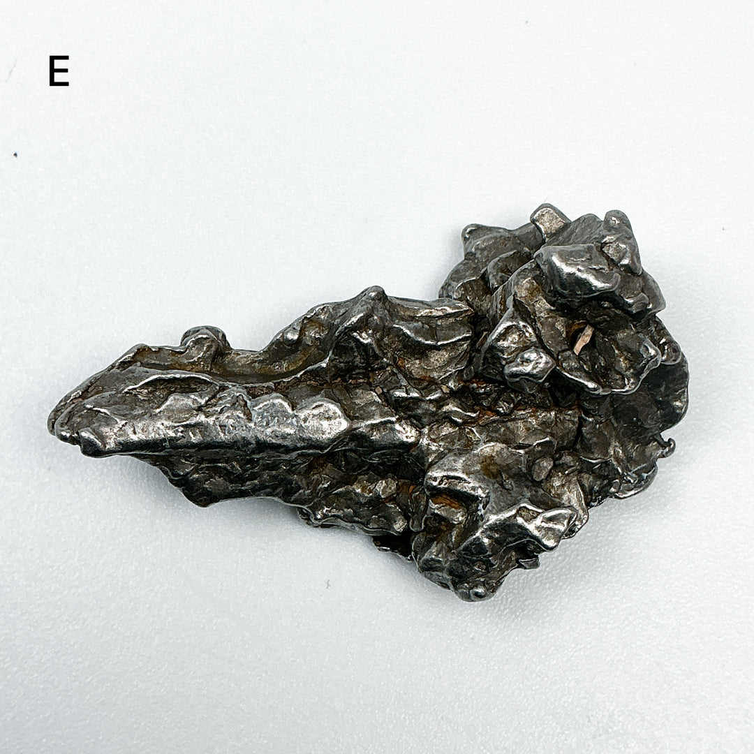Campo Del Cielo Meteorite-Rocks and Gems Canada