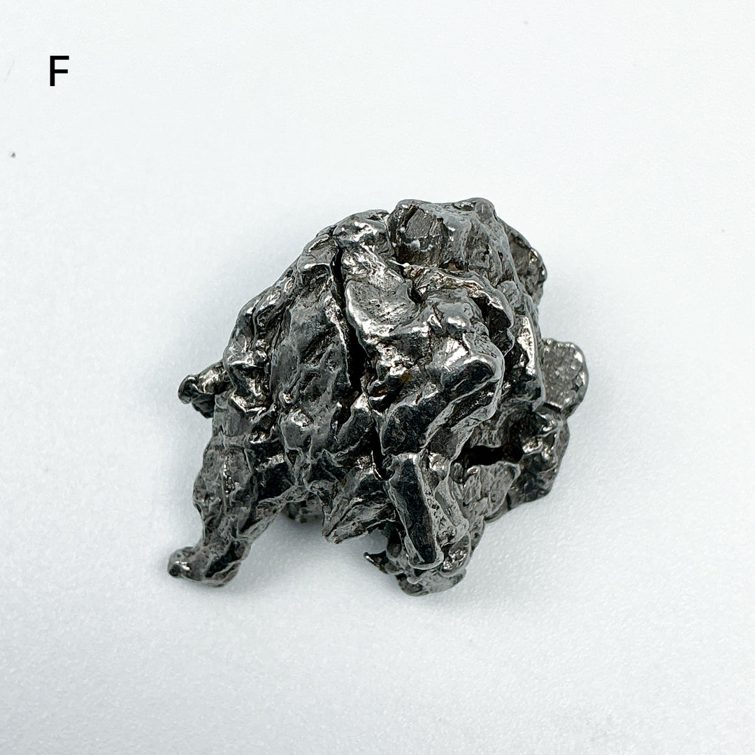 Campo Del Cielo Meteorite-Rocks and Gems Canada