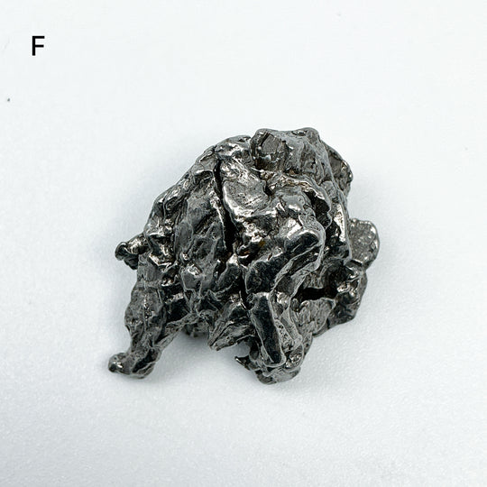 Campo Del Cielo Meteorite-Rocks and Gems Canada