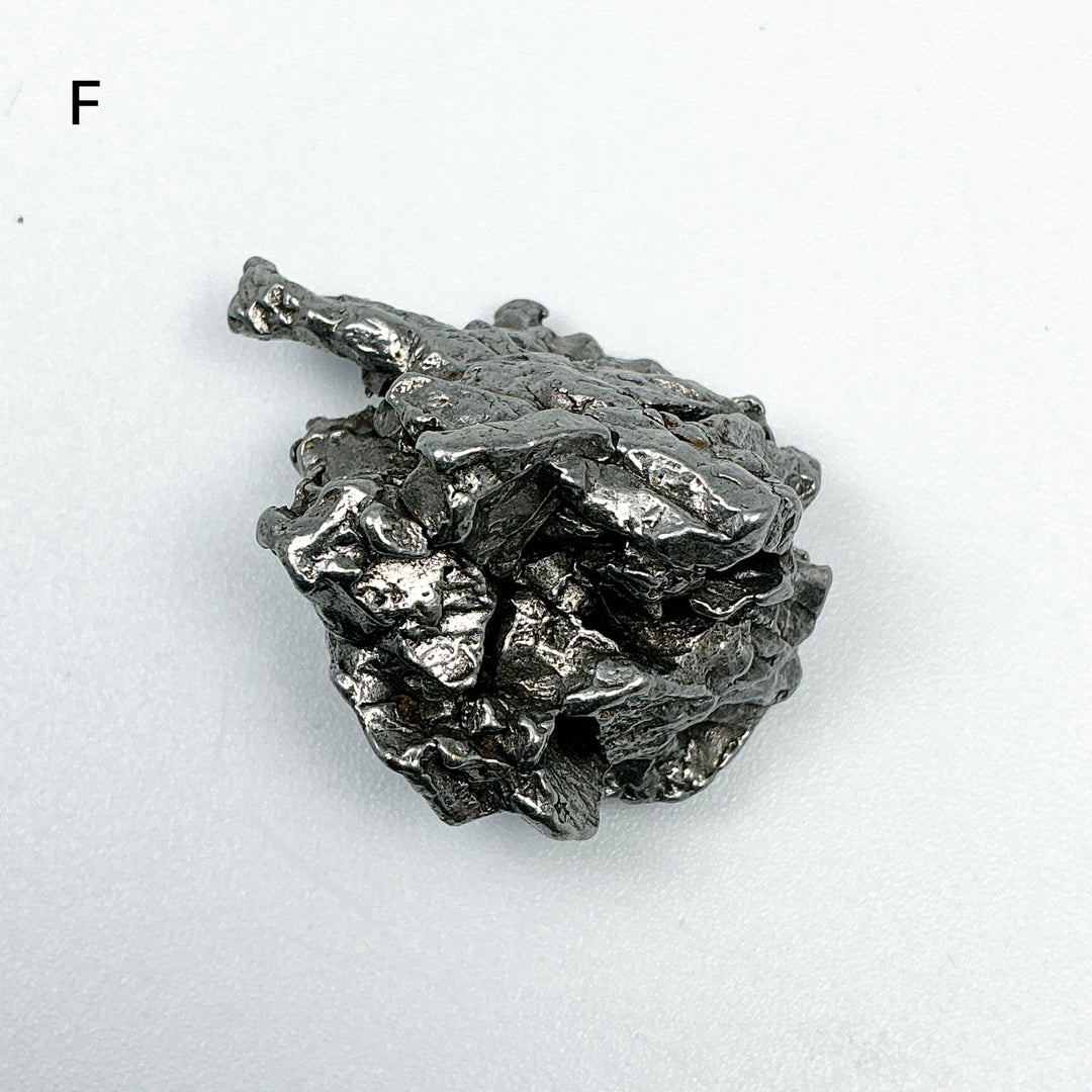 Campo Del Cielo Meteorite-Rocks and Gems Canada