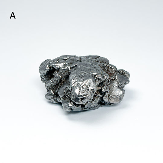 Campo Del Cielo Meteorite-Rocks and Gems Canada