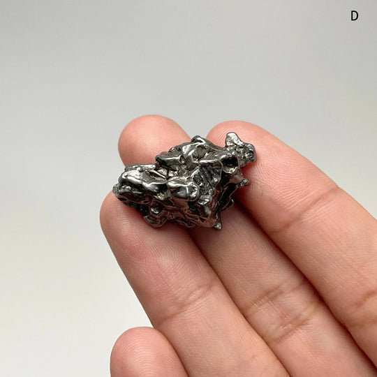 Campo Del Cielo Meteorite - Rocks and Gems Canada