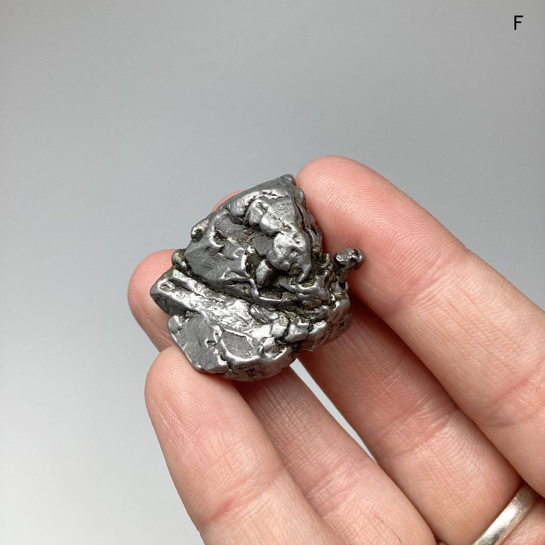 Campo Del Cielo Meteorite - Rocks and Gems Canada