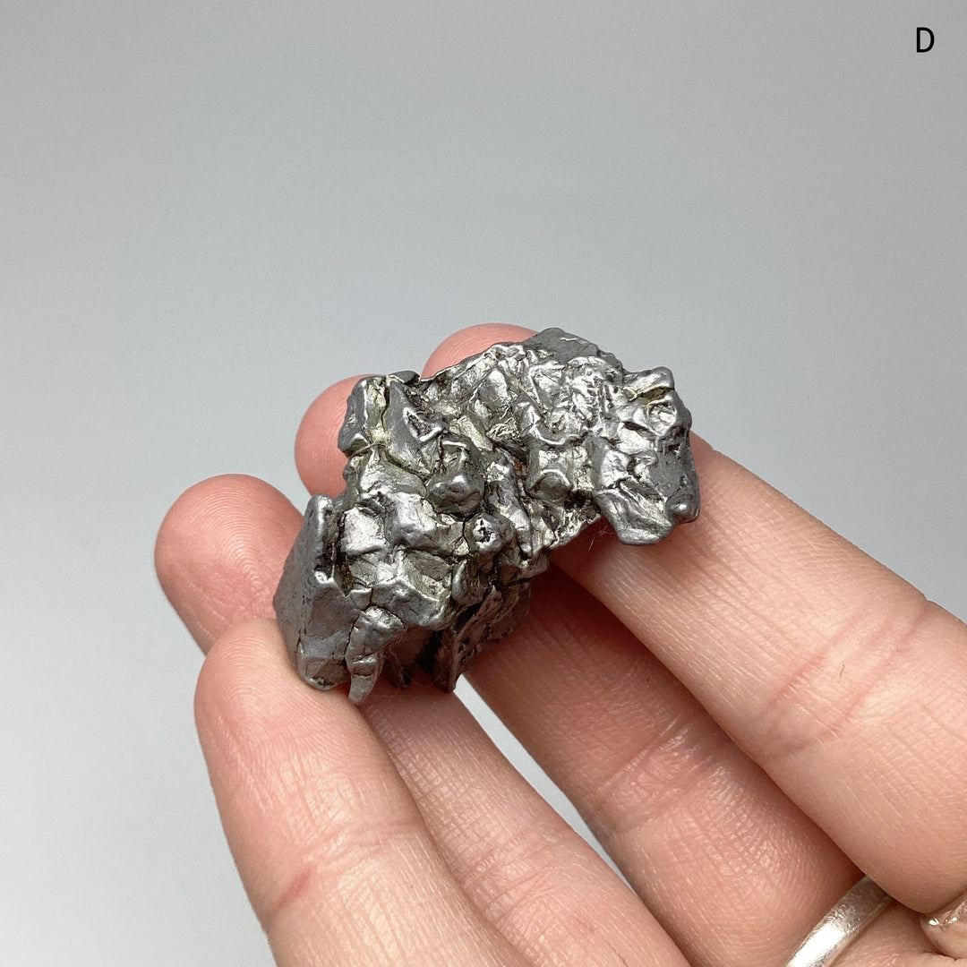 Campo Del Cielo Meteorite - Rocks and Gems Canada
