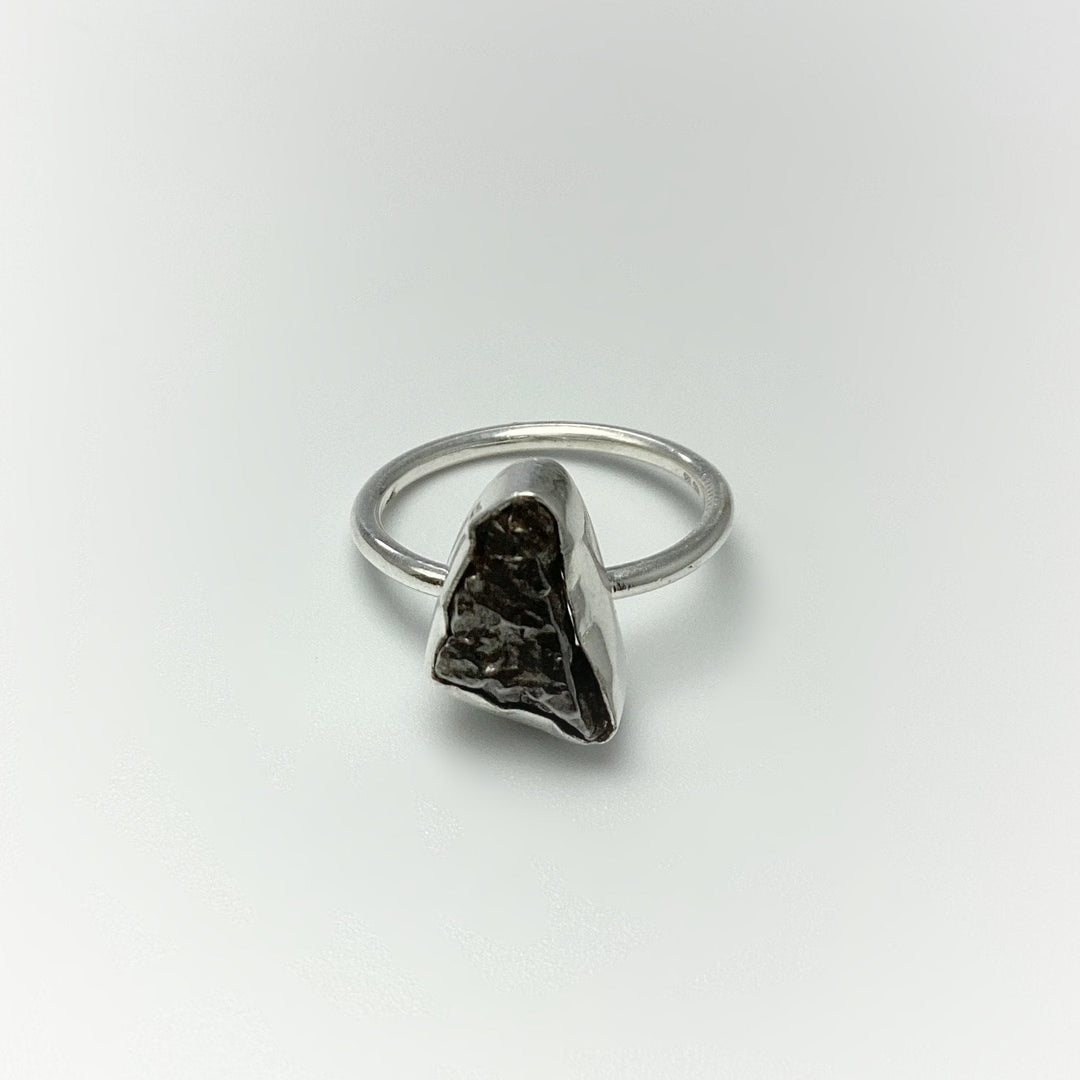 Campo Del Cielo Meteorite Ring - Rocks and Gems Canada