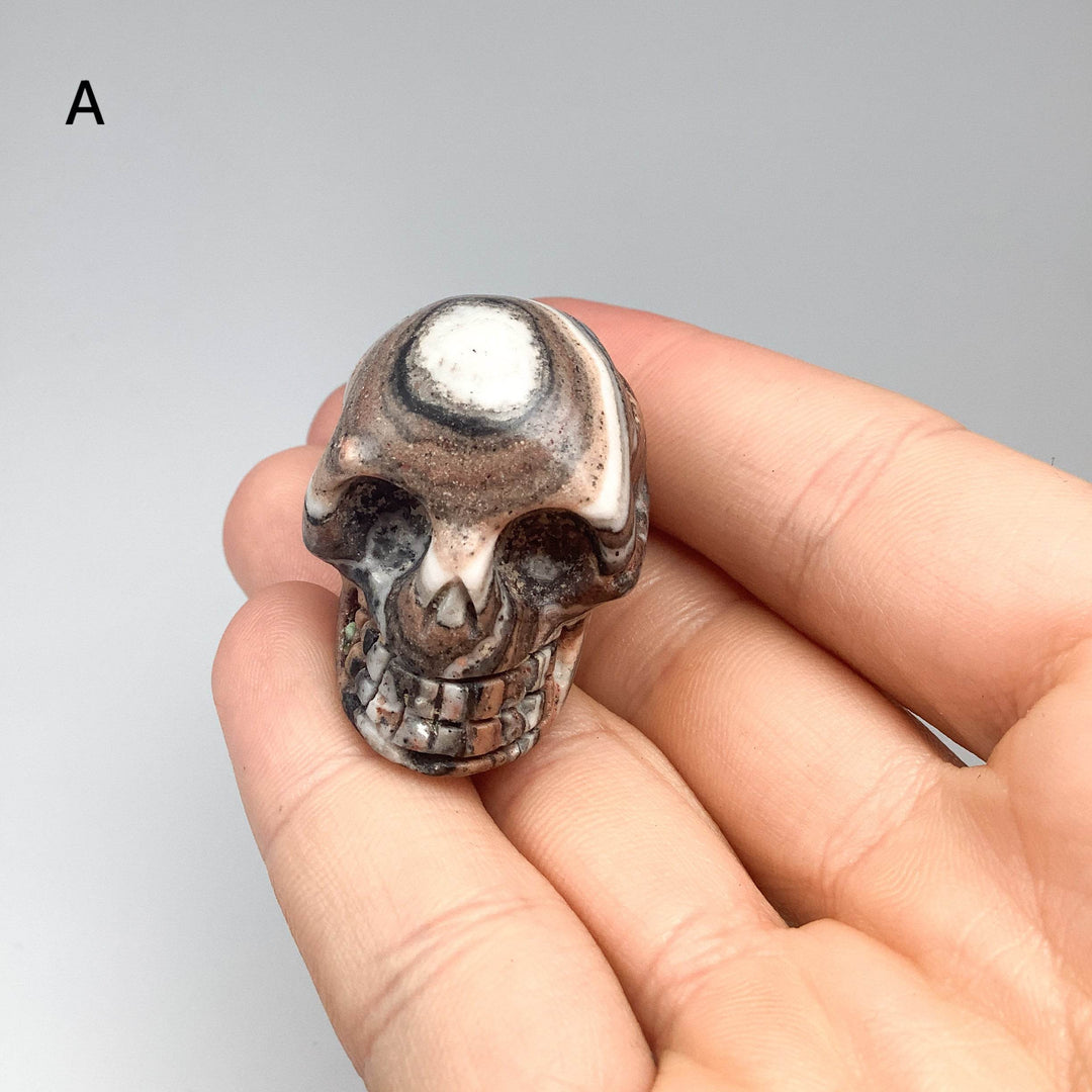 Carved Zebra Jasper Skull-Rocks and Gems Canada