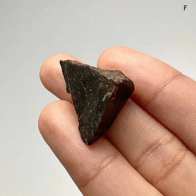 Chondrite Meteorite Specimen