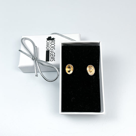 Citrine Stud Earrings-Rocks and Gems Canada