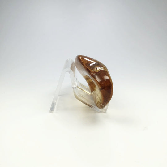 Copal With Insects - Rocks and Gems Canada