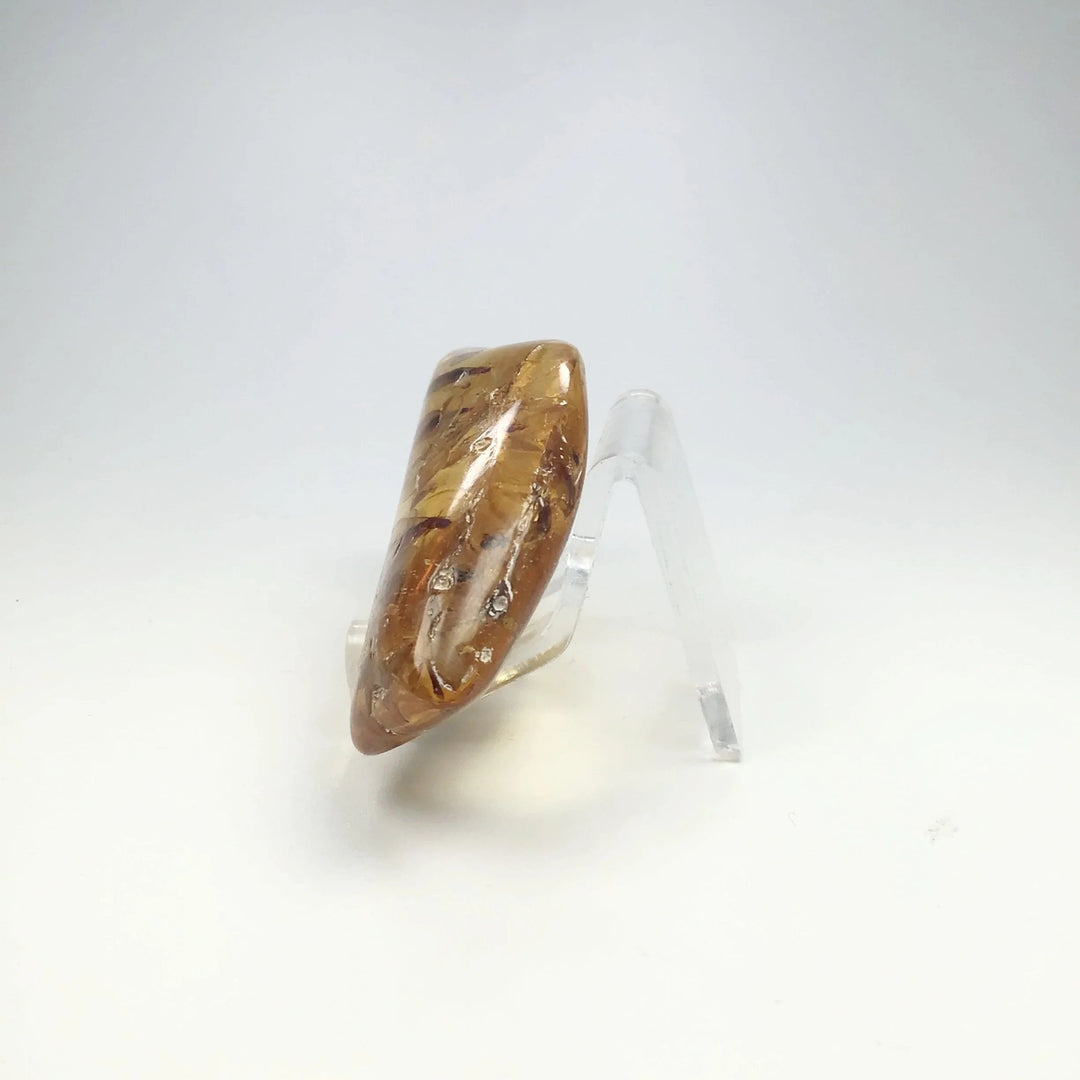 Copal With Insects - Rocks and Gems Canada