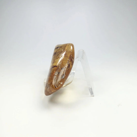 Copal With Insects - Rocks and Gems Canada