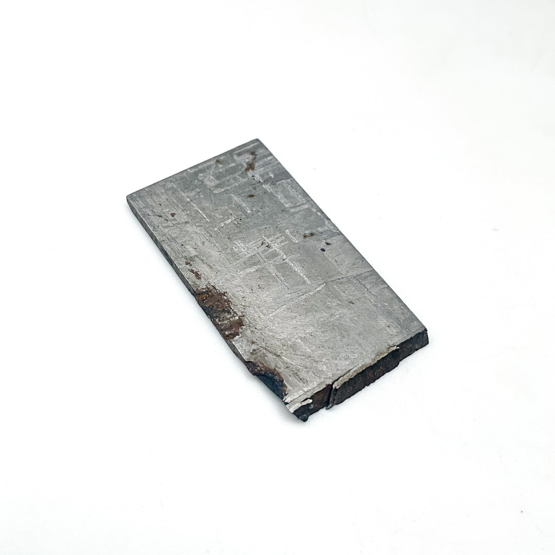Muonionalusta Meteorite Slice