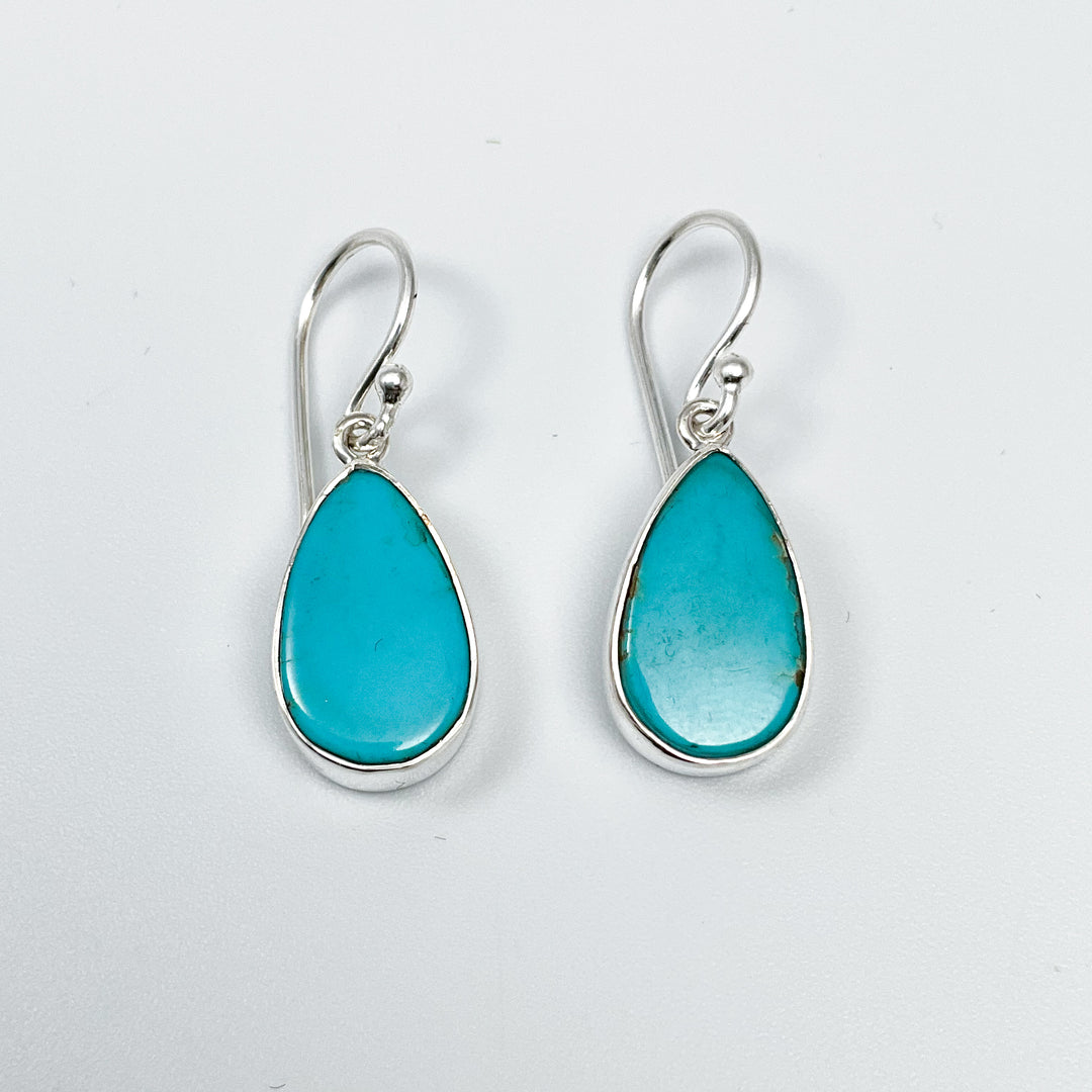 Turquoise Dangle Earrings