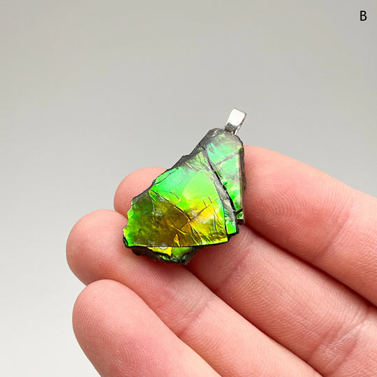 Alberta Ammolite Pendant - Rocks and Gems Canada