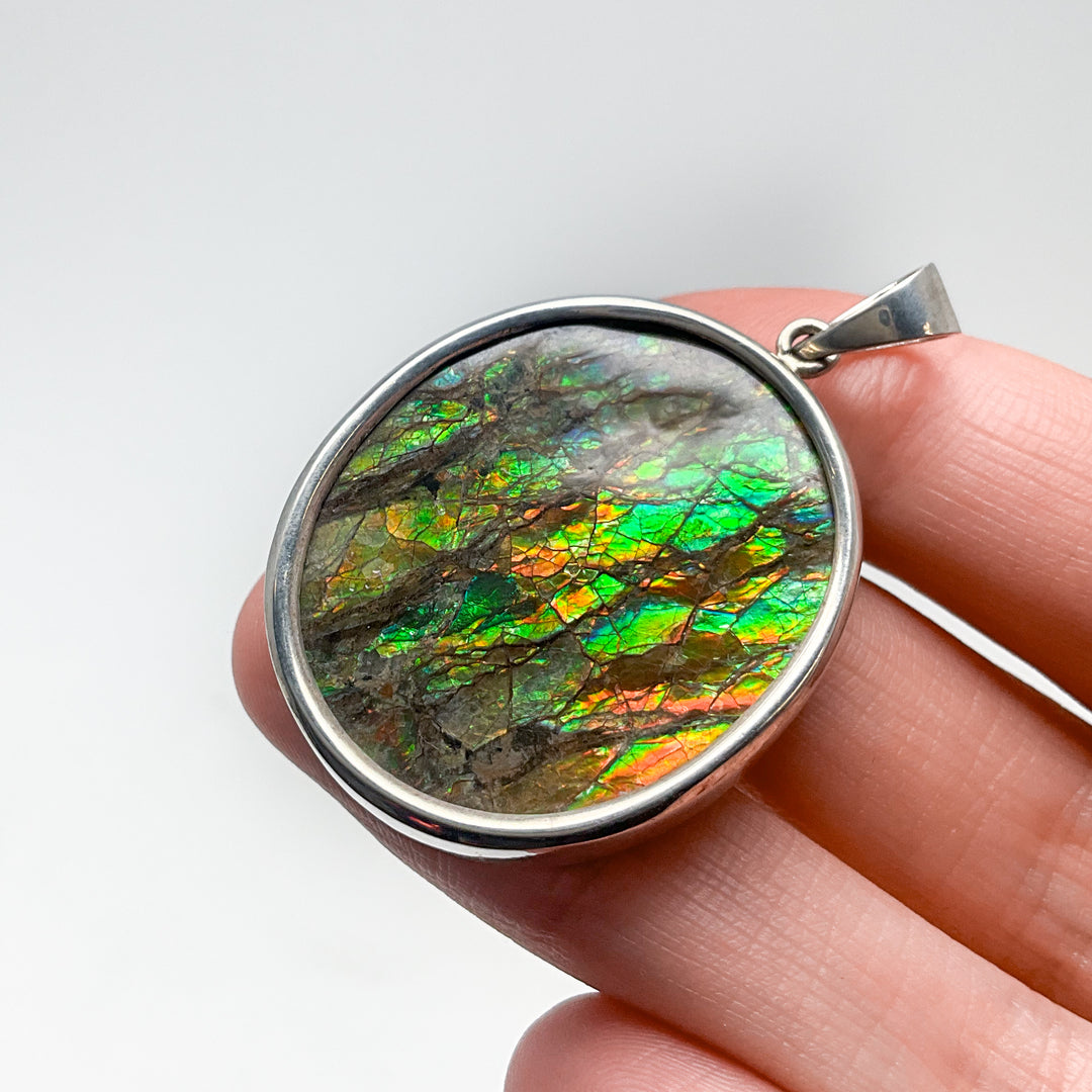 Alberta Ammolite Pendant
