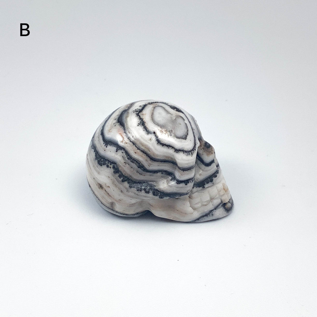 Carved Zebra Jasper Skull - Rocks and Gems Canada