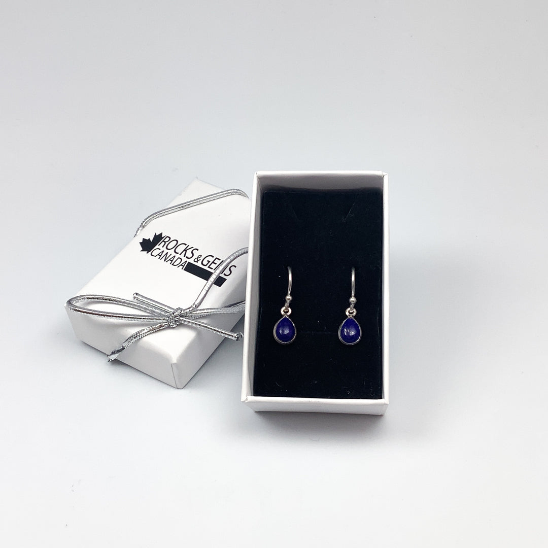 Lapis Lazuli Dangle Earrings - Rocks and Gems Canada
