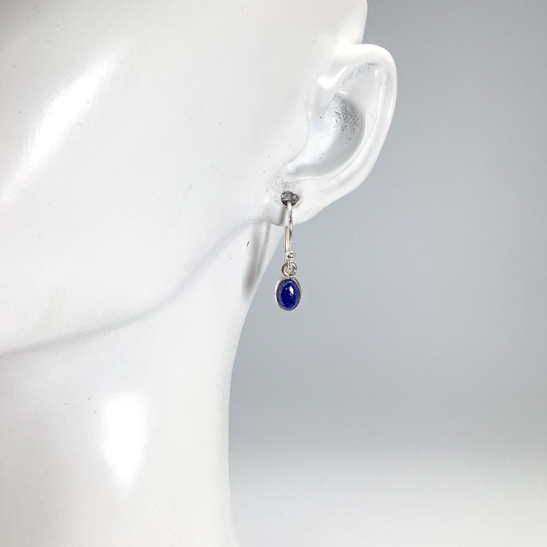 Lapis Lazuli Dangle Earrings - Rocks and Gems Canada