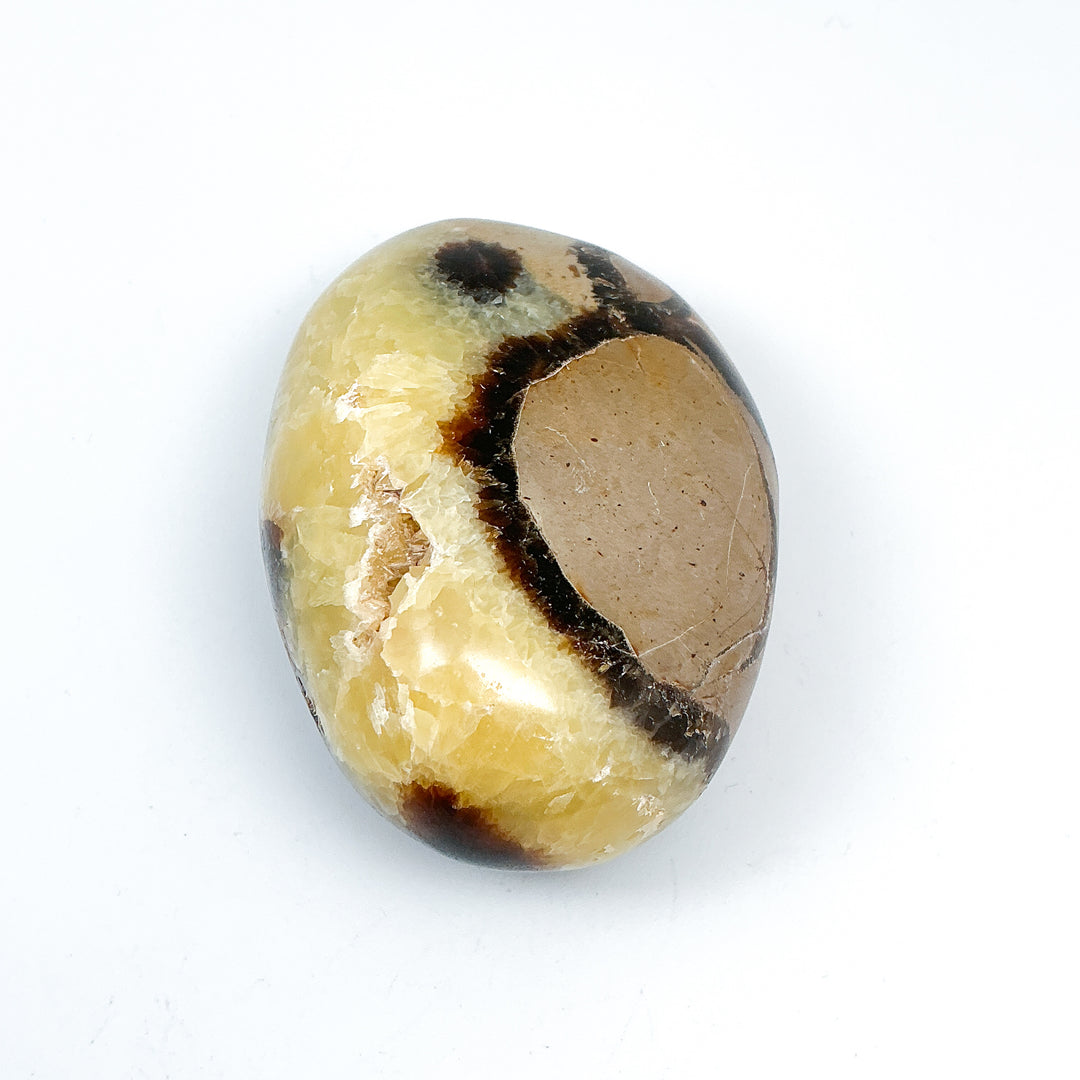 Septarian Tumble - Rocks and Gems Canada