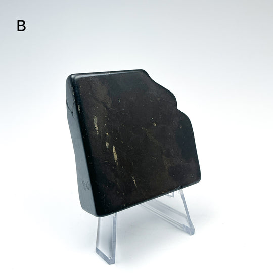 Shungite Slice - Rocks and Gems Canada