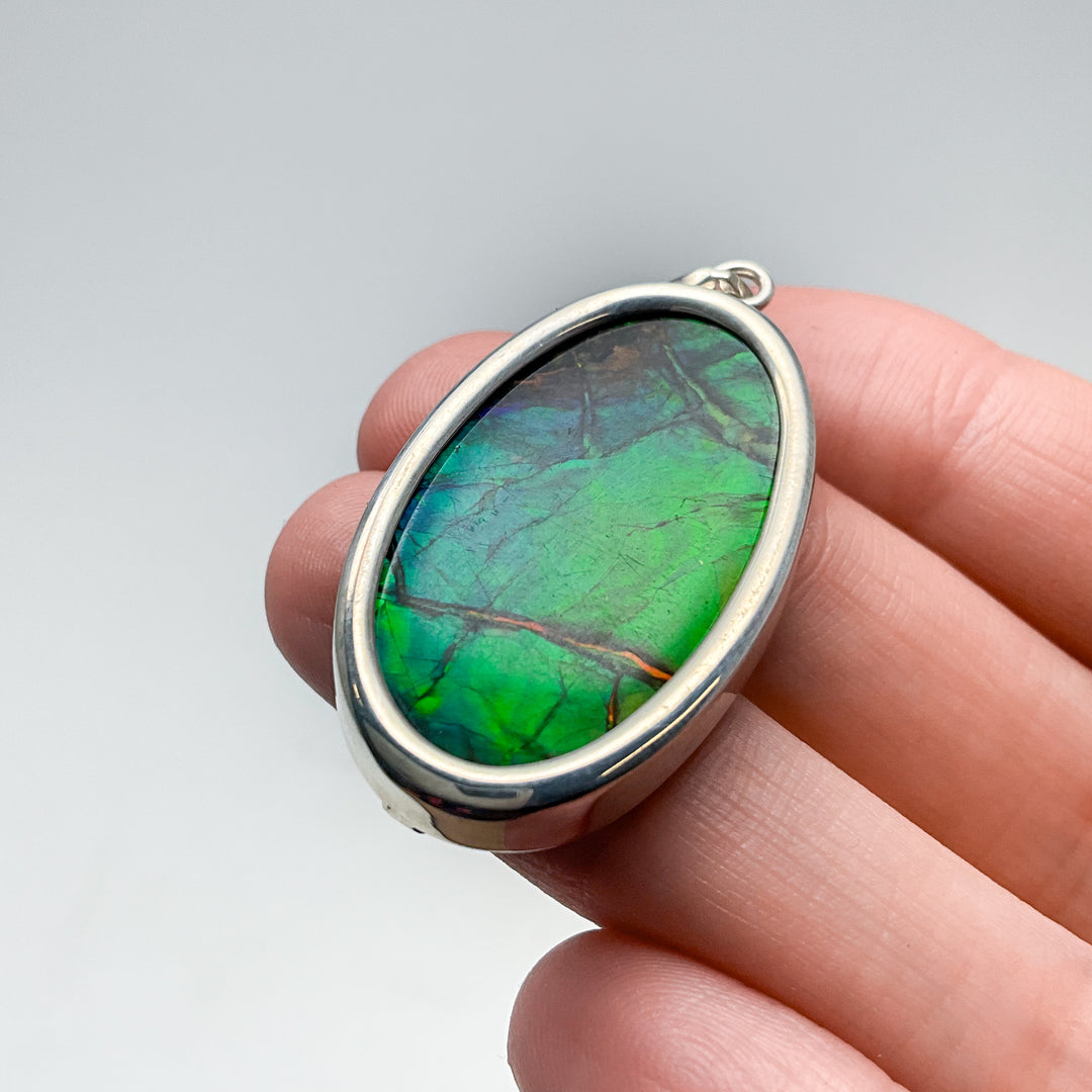Alberta Ammolite Pendant