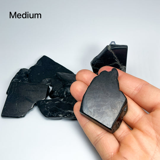 Shungite Slice - Rocks and Gems Canada