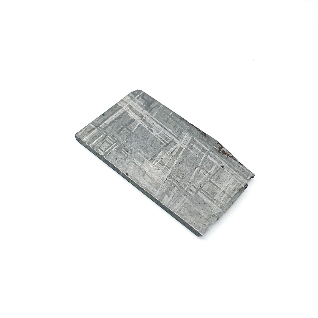 Muonionalusta Meteorite Slice
