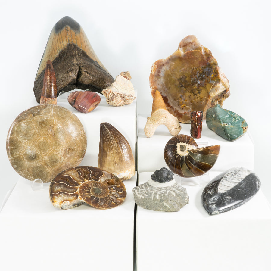 Gifts for Collectors