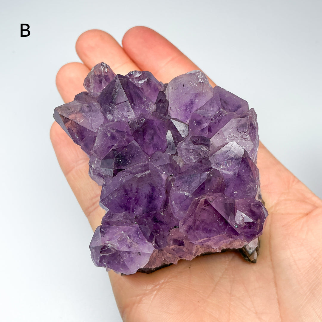 Amethyst Druze Cluster