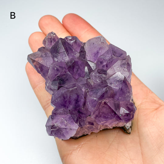 Amethyst Druze Cluster
