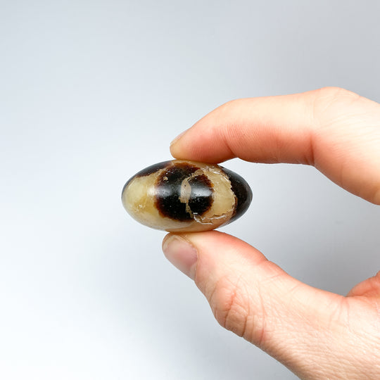 Septarian Tumble - Rocks and Gems Canada