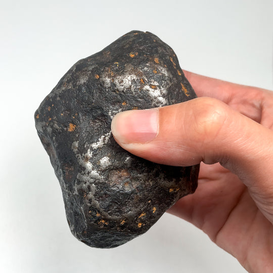 Campo Del Cielo Meteorite Large Specimen