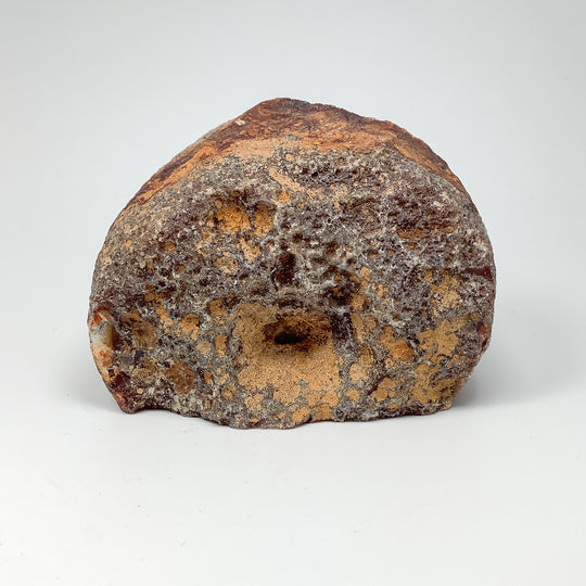 Natural Agate Geode - Rocks and Gems Canada