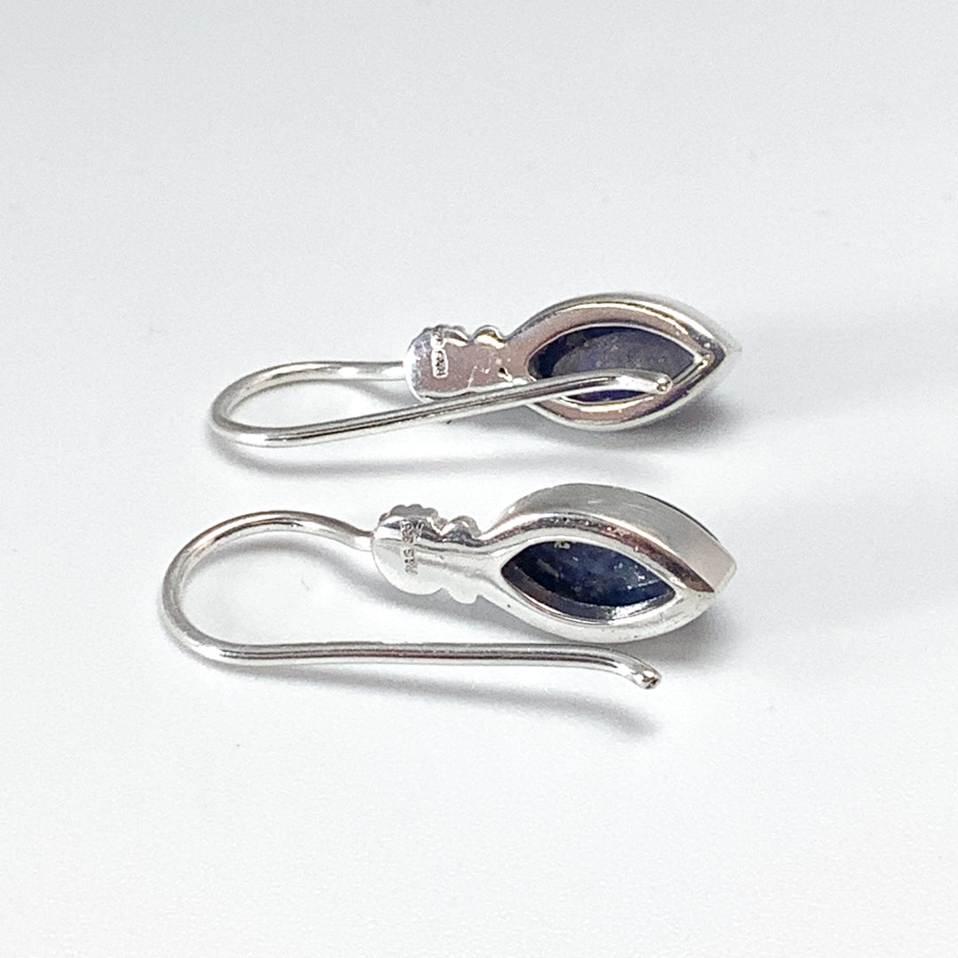 Lapis Lazuli Dangle Earrings - Rocks and Gems Canada