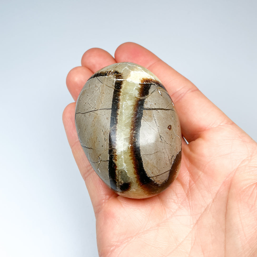 Septarian Tumble - Rocks and Gems Canada