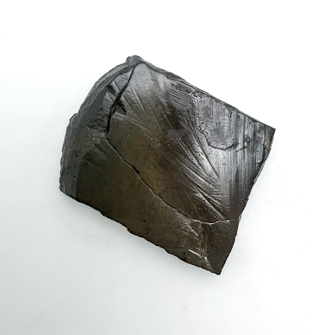 Ammolite Gem with Display Box