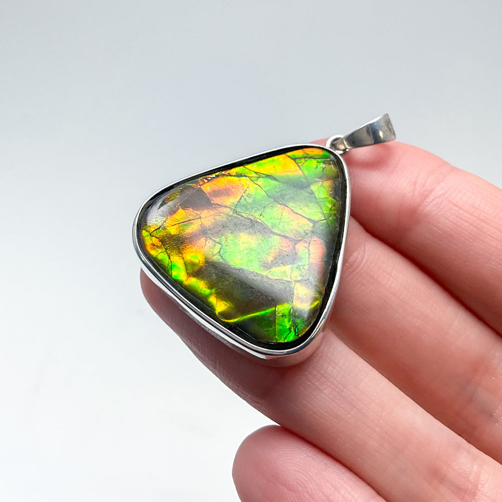 Alberta Ammolite Pendant
