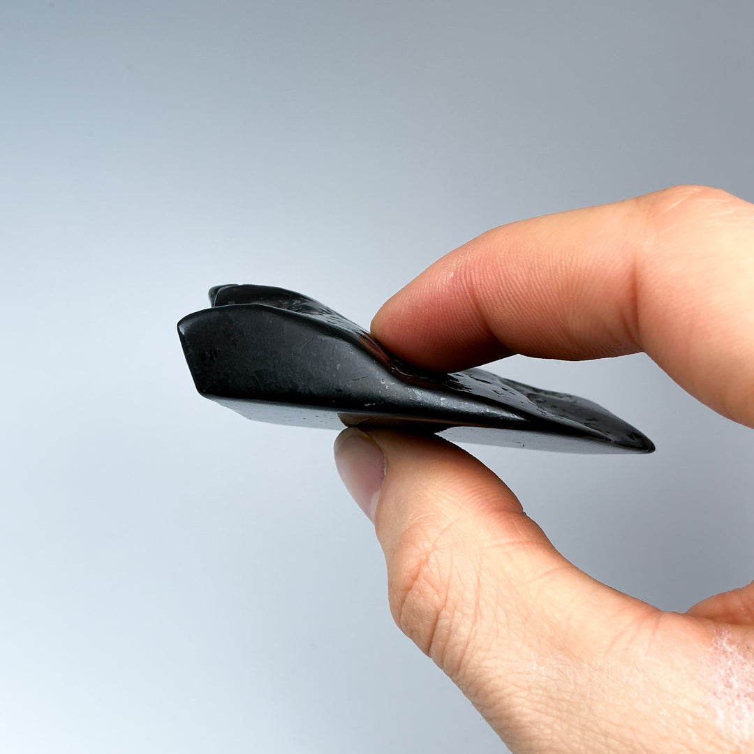 Shungite Slice