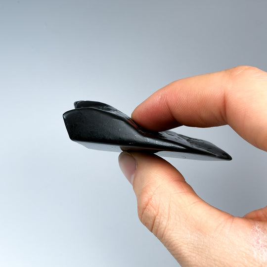Shungite Slice
