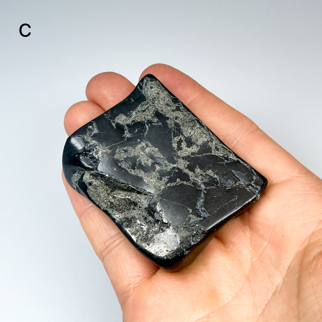 Shungite Slice - Rocks and Gems Canada