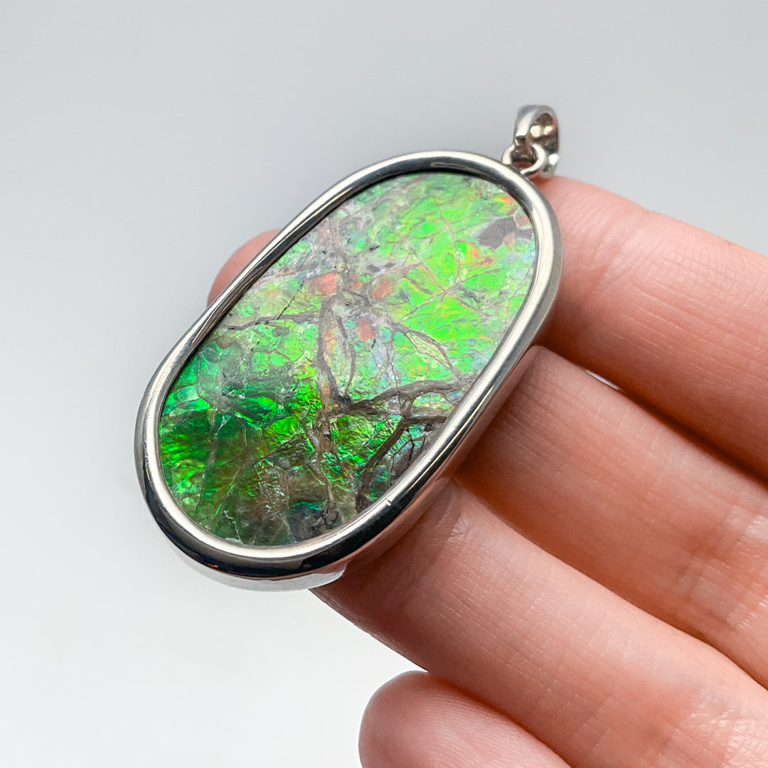 Alberta Ammolite Pendant