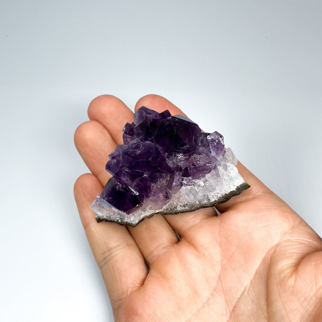 Amethyst Druze Cluster