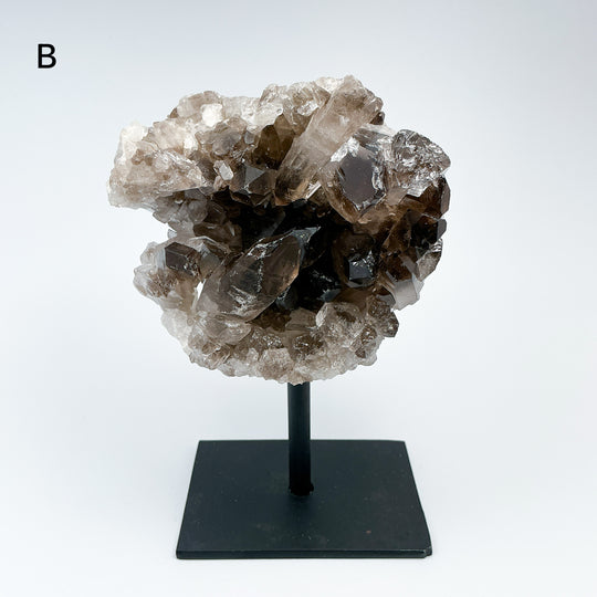 Smoky Quartz Cluster on Display Stand