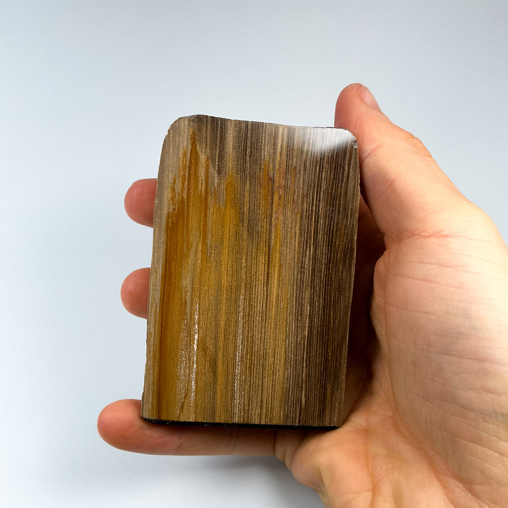 Petrified Wood Stand Up